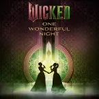 Pochette Wicked: One Wonderful Night