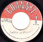 Pochette I Need A Roof
