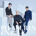 Pochette PLEASURES