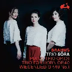 Pochette Brahms: Piano Trio Op. 101, Trio for Horn Op. 40, Wiegenlied & Op. 49 No. 1