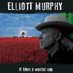 Pochette It Takes A Worried Man