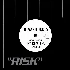 Pochette "Risk" Specially Selected 12" Mixes