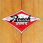Pochette Good Vibrations: Thirty Years of the Beach Boys