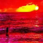 Pochette I Used To Live By The Ocean