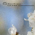 Pochette Leaf Of Void