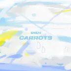 Pochette CARROTS