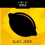 Pochette Toka