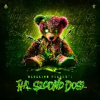 Pochette The Second Dose