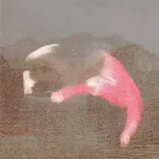 Pochette the nothing,nowhere. lp