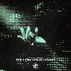 Pochette Follow Your Heart