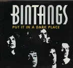 Pochette Put It in a Dark Place