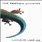 Pochette Lizards Like Us