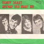 Pochette And Her Name Is... / Anyway You Want Me