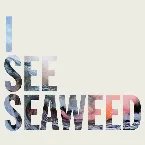 Pochette I See Seaweed