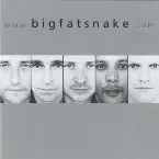 Pochette www.bigfatsnake.com
