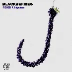 Pochette Blackberries