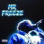Pochette Mr Freeze