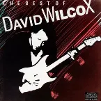 Pochette The Best of David Wilcox