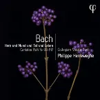 Pochette Herz und Mund und Tat und Leben - Bach: Cantatas BWV 6-99-147