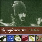 Pochette The Purple Cucumber — A Tribute