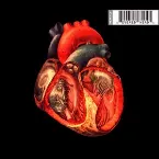 Pochette Heart of the Party