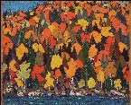 Pochette First Autumn Morning