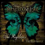 Pochette The Righteous & The Butterfly