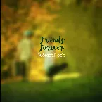 Pochette Friends Forever
