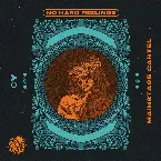 Pochette No Hard Feelings