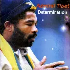 Pochette Determination
