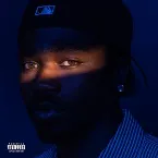 Pochette THE NAVY ALBUM