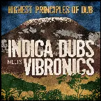 Pochette Highest Principles Of Dub