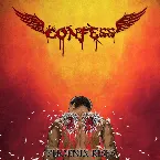 Pochette Phoenix Rises