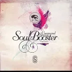 Pochette Soul Booster