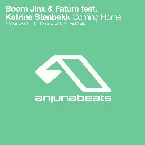 Pochette Coming Home (The Remixes)