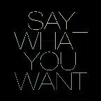 Pochette Say What You Want