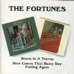 Pochette Storm in a Teacup / Here Comes That Rainy Day Feeling Again