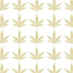 Pochette Insane Like Me