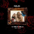 Pochette La vida es bella