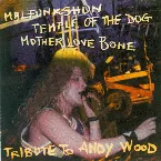 Pochette Tribute to Andy Wood