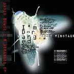 Pochette I’m Deranged