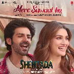 Pochette Mere Sawaal Ka (From "Shehzada")