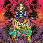 Pochette Reverse of Rebirth Reprise