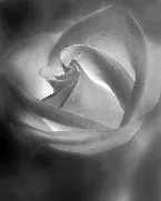 Pochette In the Frame of an Old Skyline Waltz, We Shall Take a Walk Through the Ruins of America, as Light Starts Creeping Around Into a Vast Field of Dust and Dirt