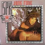 Pochette Junk Funk
