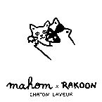 Pochette Chaton Laveur