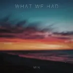 Pochette What We Had