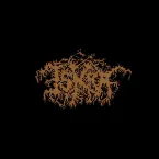 Pochette Selected Works