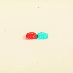 Pochette 多板綱