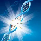 Pochette Interceptor